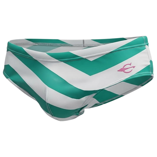 Equal Swimwear Brief Zig Zag