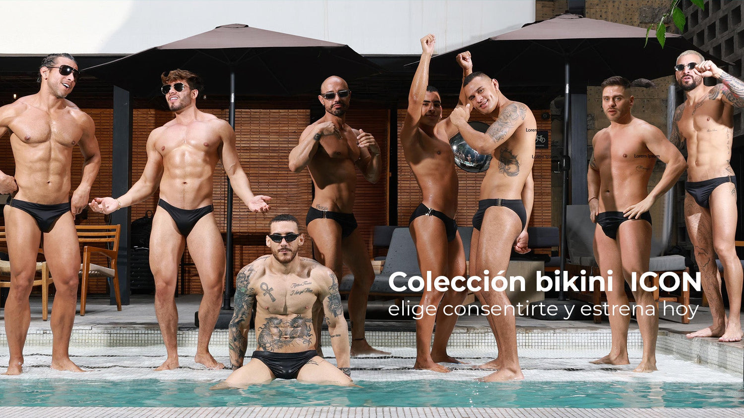 Colección Bikini ICON