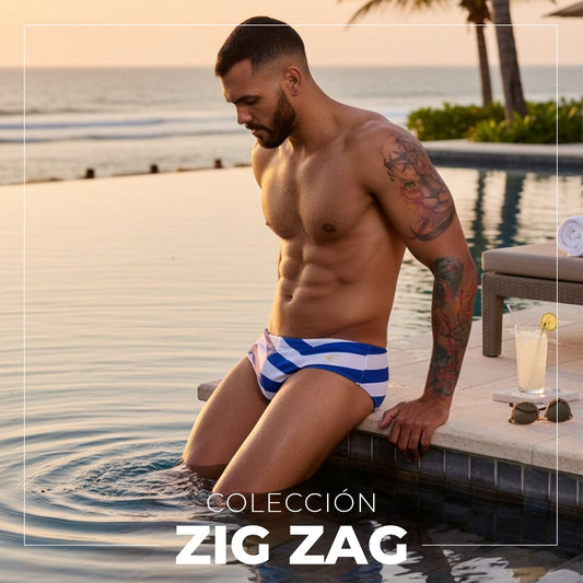 Equal Swimwear Brief Zig Zag