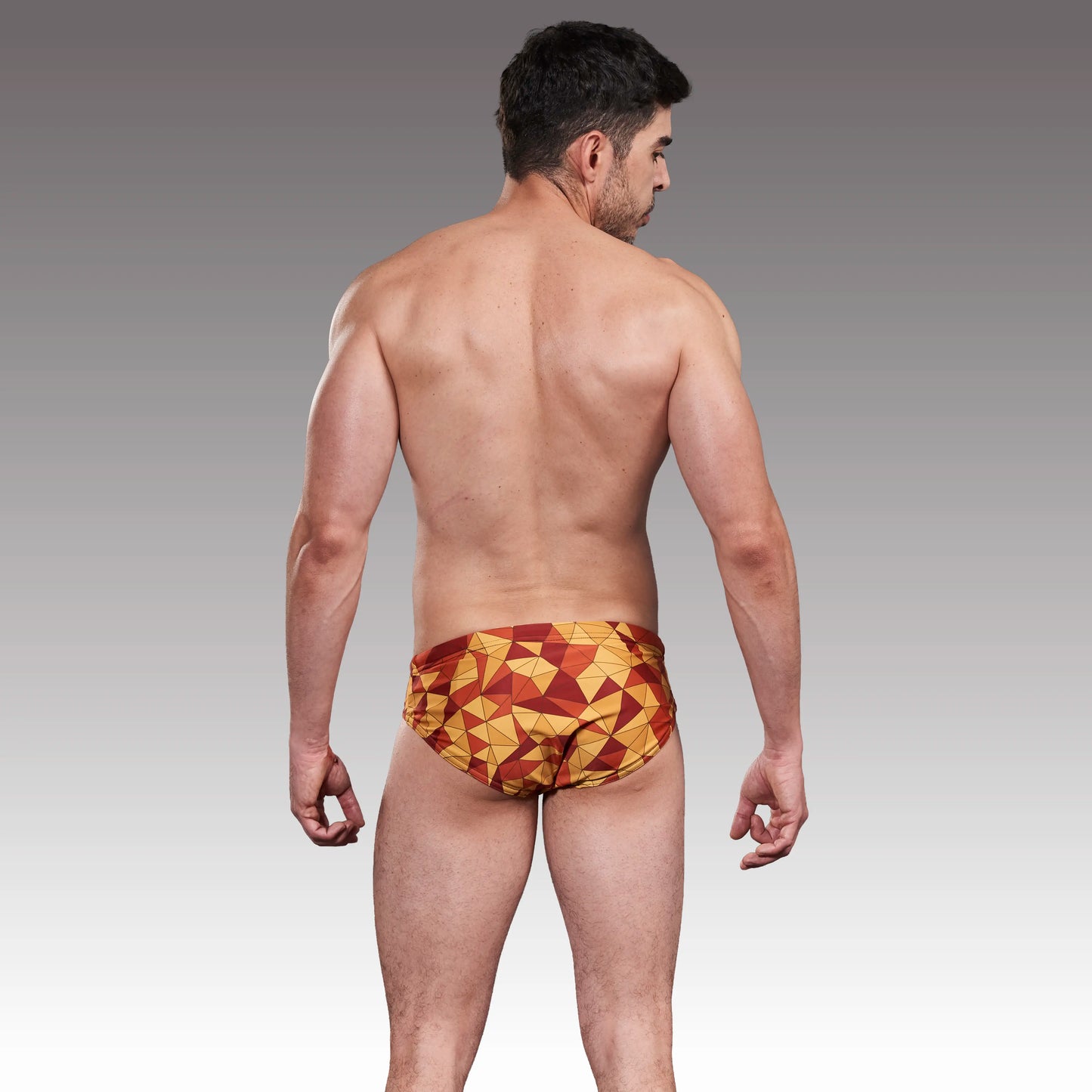 Equal Swimwear Brief Prisma