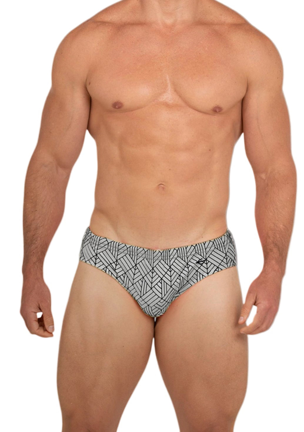 Equal Swimwear Brief Geometría Plateado