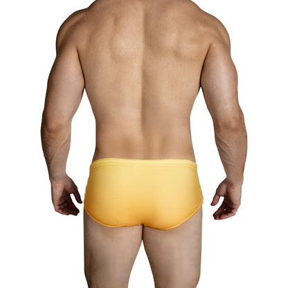 Equal Swimwear Brief Colors Amarillo