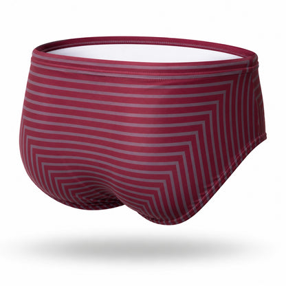 Brief Lines Red Wine Equal Swimwear